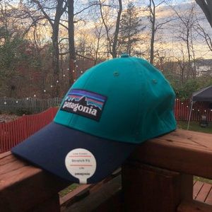 Patagonia logo stretch fit hat